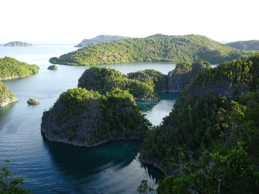 Indonezija: Zapadna Neugvineja, Raja-Ampat