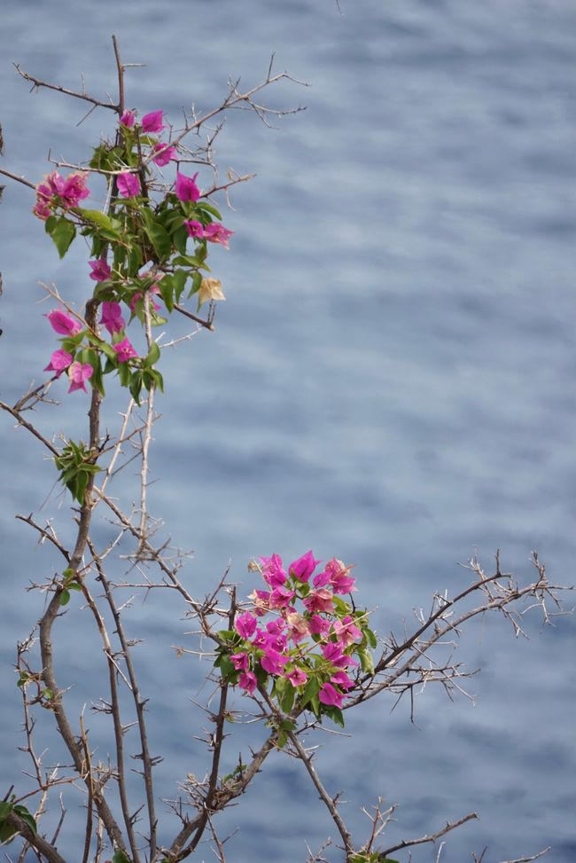 Afionas und Porto Timoni