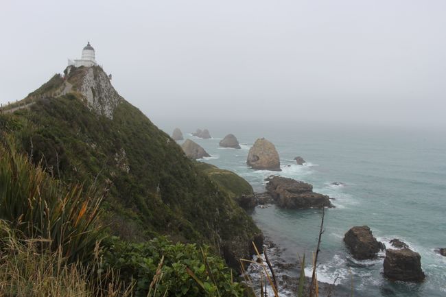 Lighthouse - Nugget Point