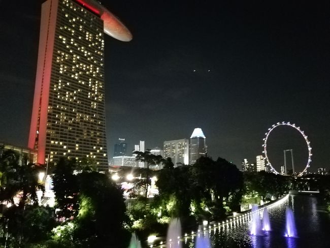Blog 18: Singapore