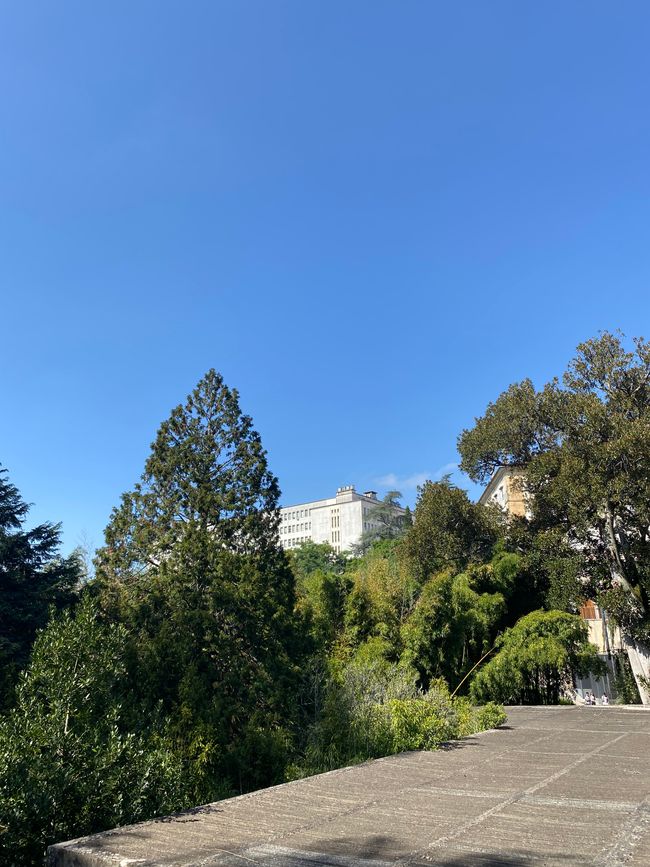 Botanical Garden of the University of Coimbra - Uni im Hintergrund