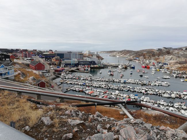 Aussicht auf Hafen von Ilulissat
