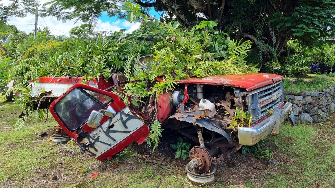 Hawaii 2022 - Part 3: Maui