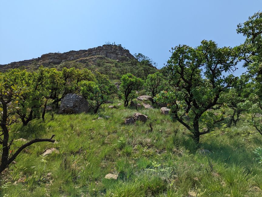 Hiked and Survived in Little Switzerland/Drakensberg