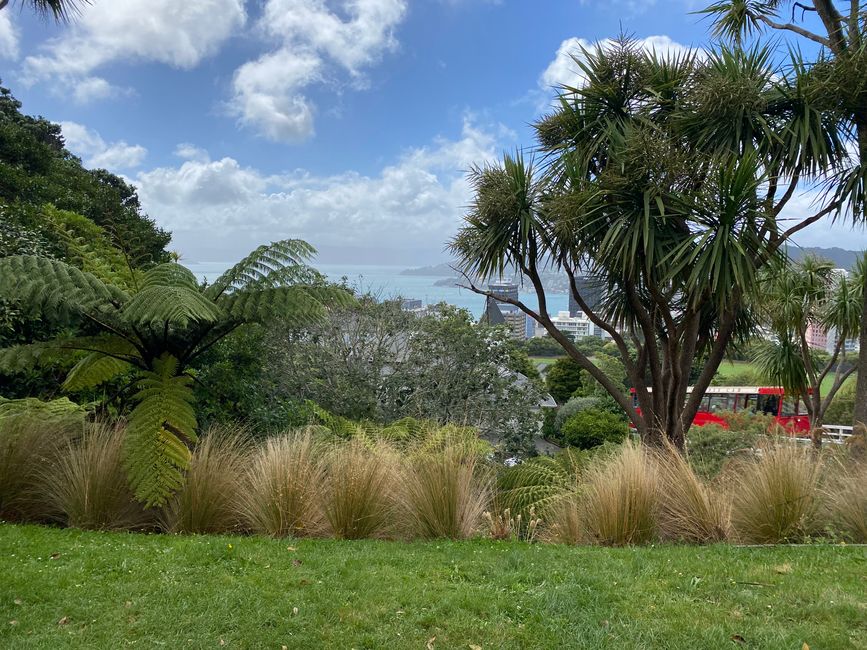 Ausblick auf Wellington vom Botanic Garden