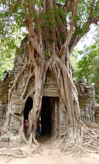 The impressive temples of Angkor