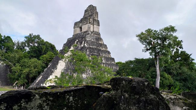 Auf den Spuren der Maya in Tikal