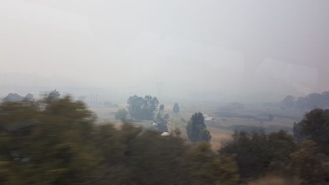 Fahrt nach Canberra im Rauch. 