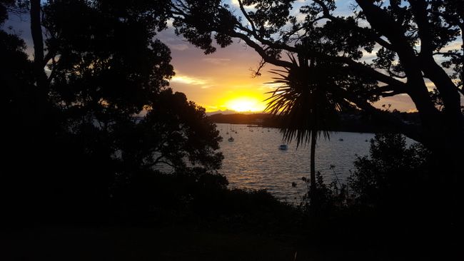 Sunset über Auckland