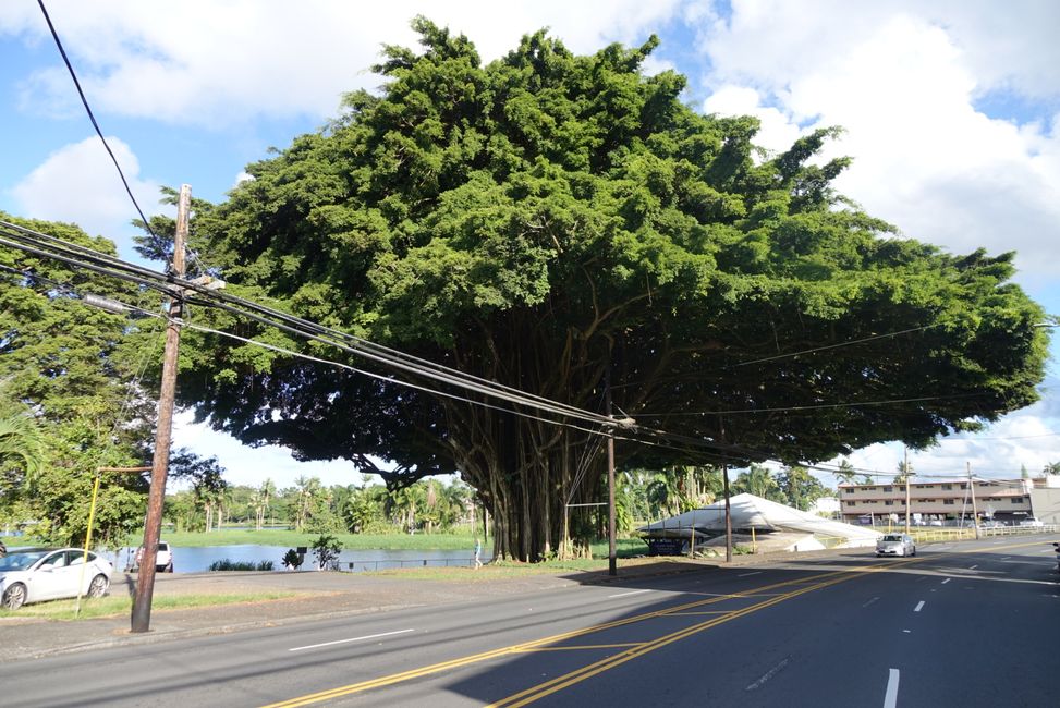 Hawaii 2022 - Teil 1: Big Island