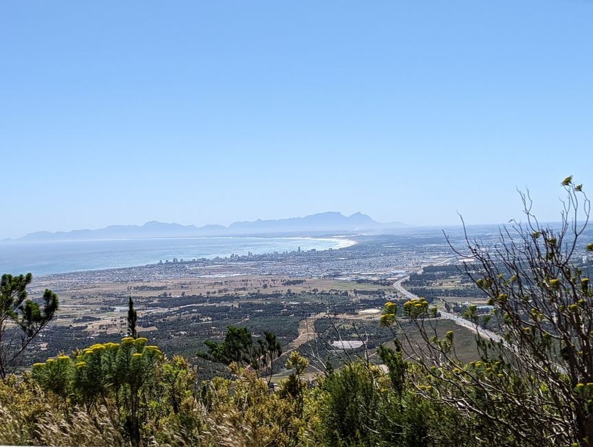 De Hermanus à Stellenbosch