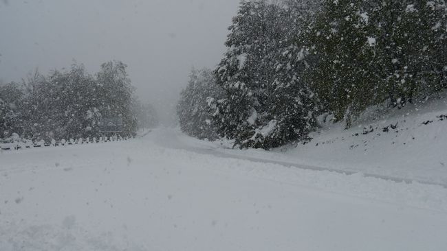 Parque Nacional Villarrica -o caos da neve