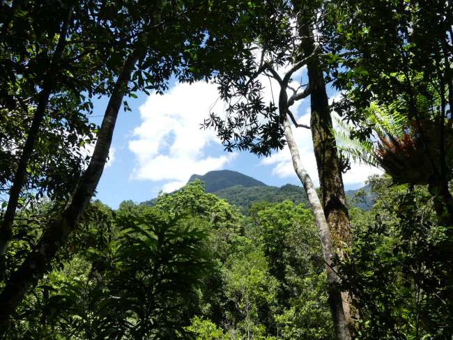 View of a mountain peak sacred to the Aborigines