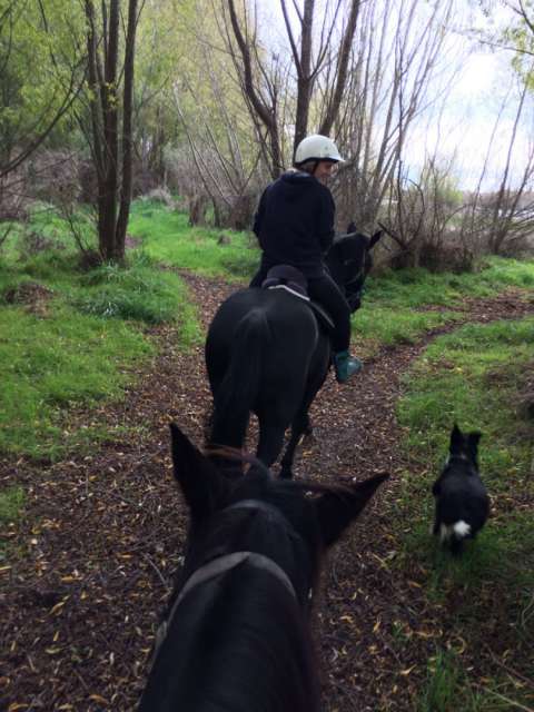 Riding with Scotty and Inky including Meg