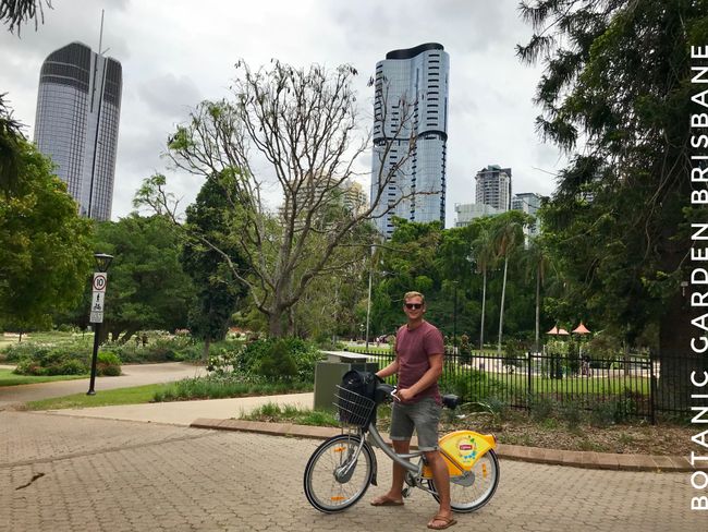 Botanic Garden, Brisbane