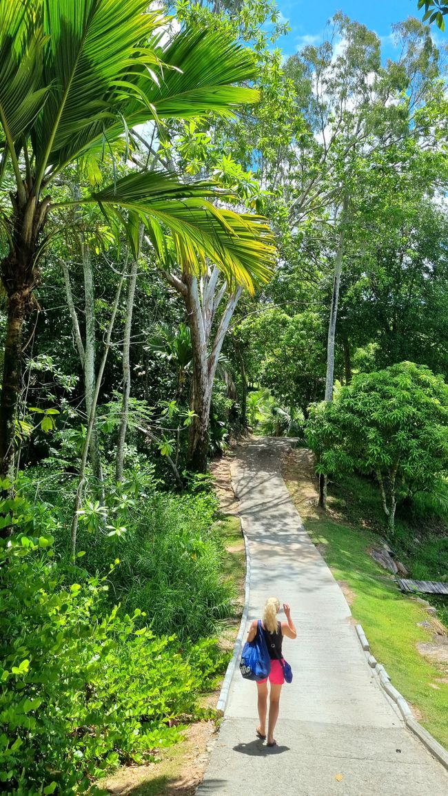 Seychelles 2023 - Part 2: Praslin
