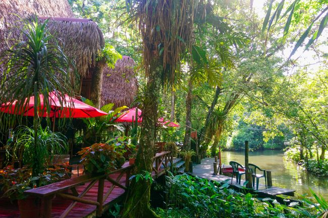 Casa Perico. Meine Unterkunft in Rio Dulce. Nur per Boot zu erreichen, dafür aber umso idyllischer. 