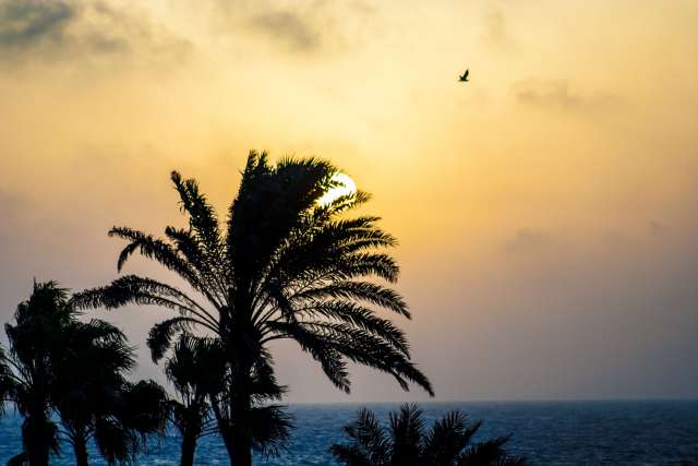 Sunrise near Corralejo, Fuerteventura