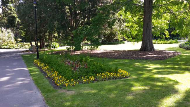 Botanical Garden in Nelson