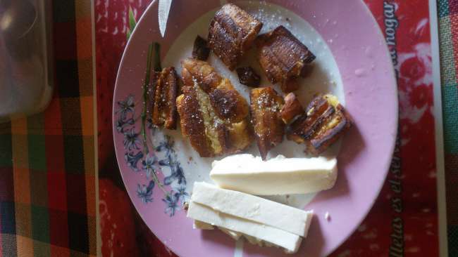 patacones (fried cooking bananas) with cheese