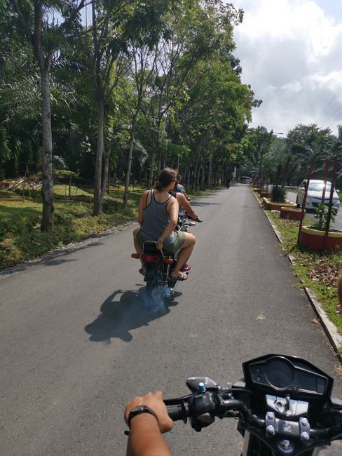 Day 50 - Bukit Lawang, Sumatra, Indonesia (06/01/2020)