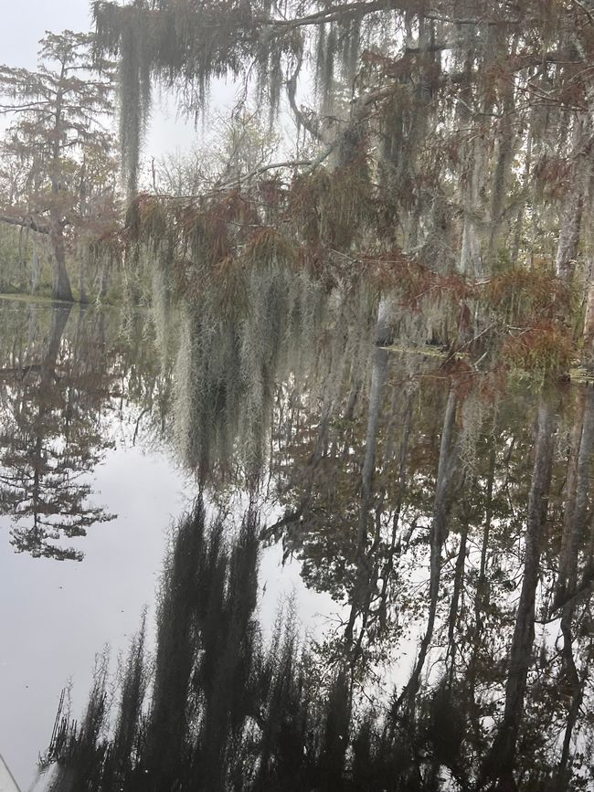 Wildes Louisiana