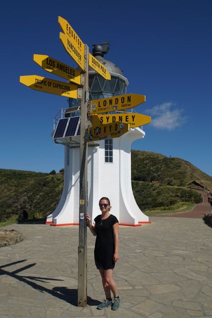 Northland - Once Cape Reinga and back