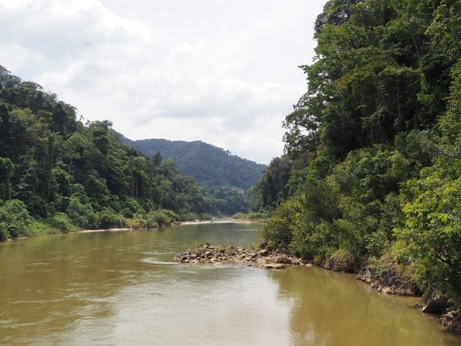 Blick auf den Sungai Tembeling
