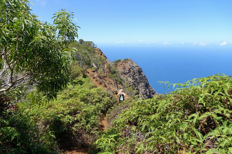 Hawaii 2022 - Teil 2: Kauai