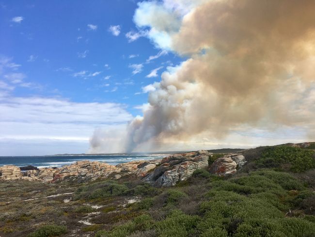 Port Elizabeth on fire