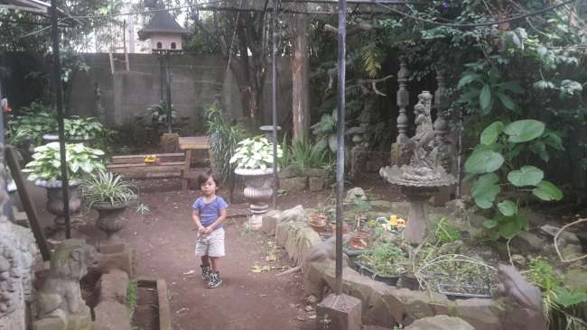 Der Garten mit dem kleinen Sohnemann.