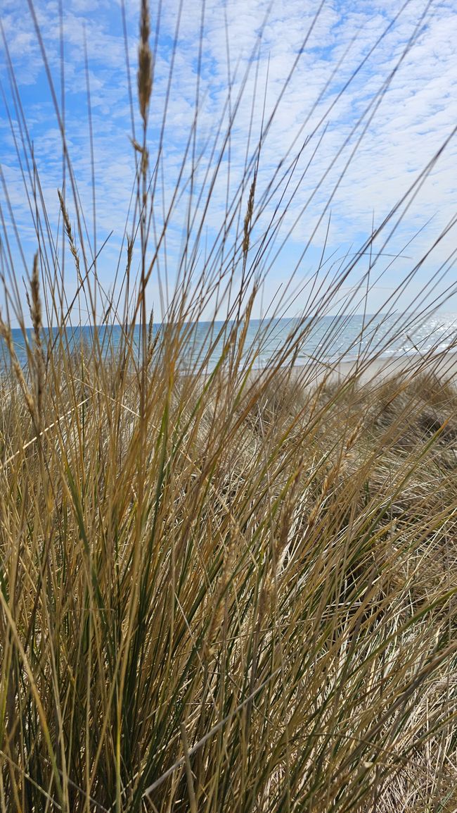 Prora Dünen