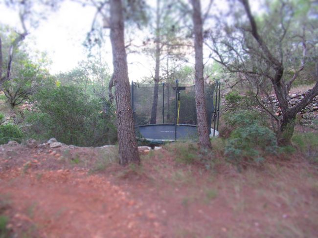 Trampoline in the forest
