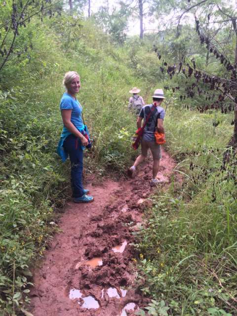 Hiking in Shan State