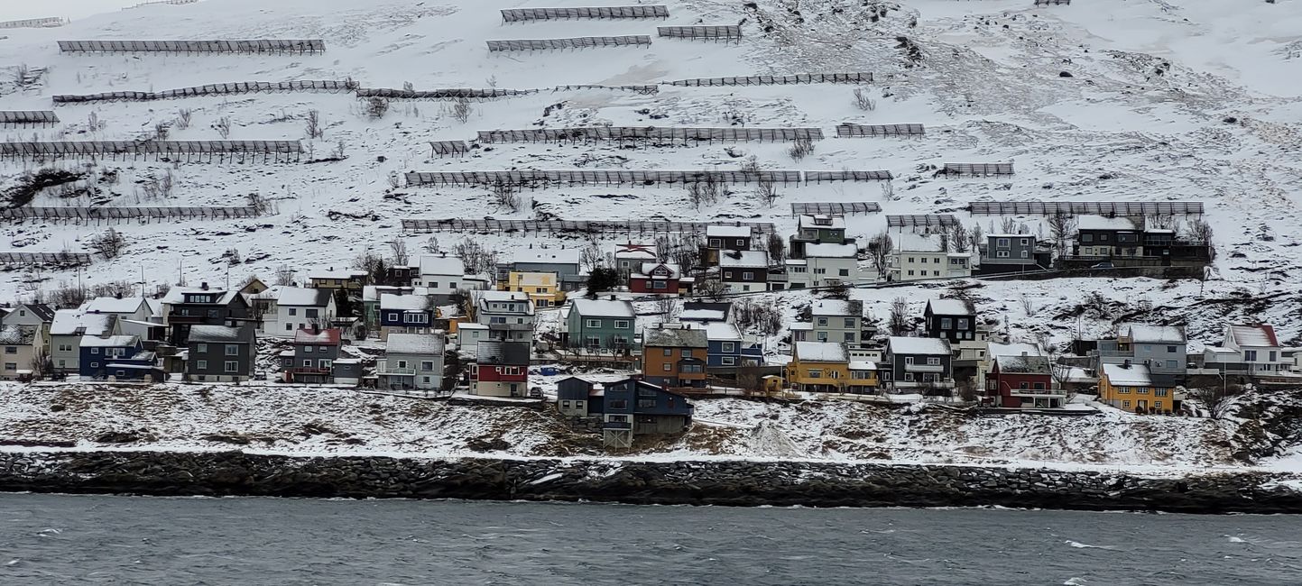 1-14.Februar 2023 Hurtigruten
Küste 8.Februar