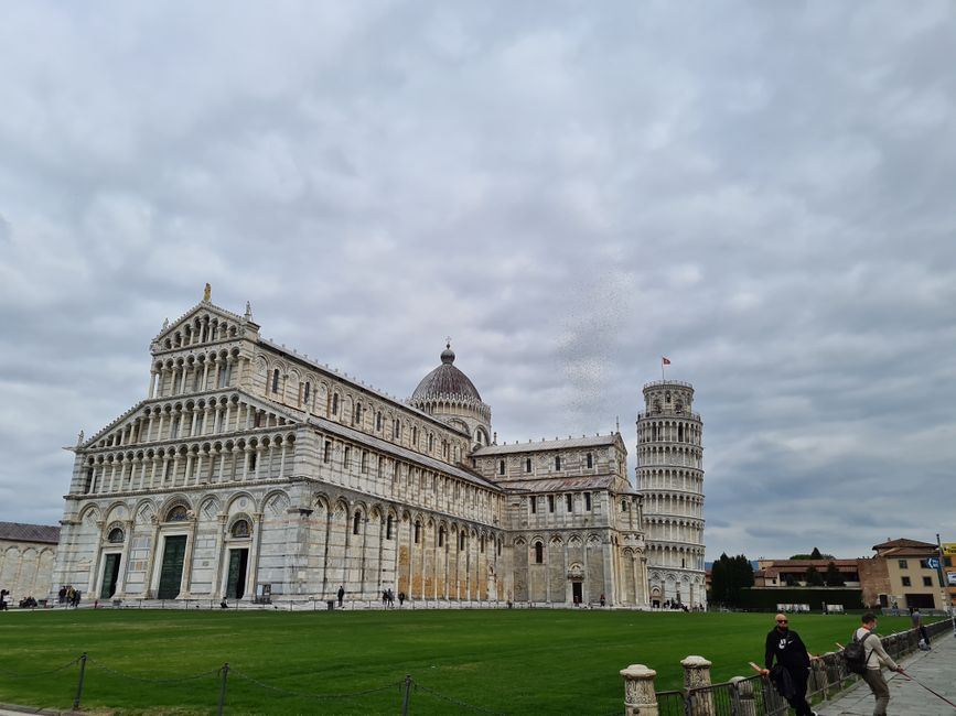 Piazza dei Miracoli mit Dom und Turm (Pisa) 