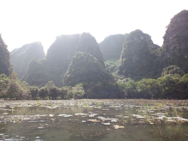 Ninh Binh - Green Halong Bay