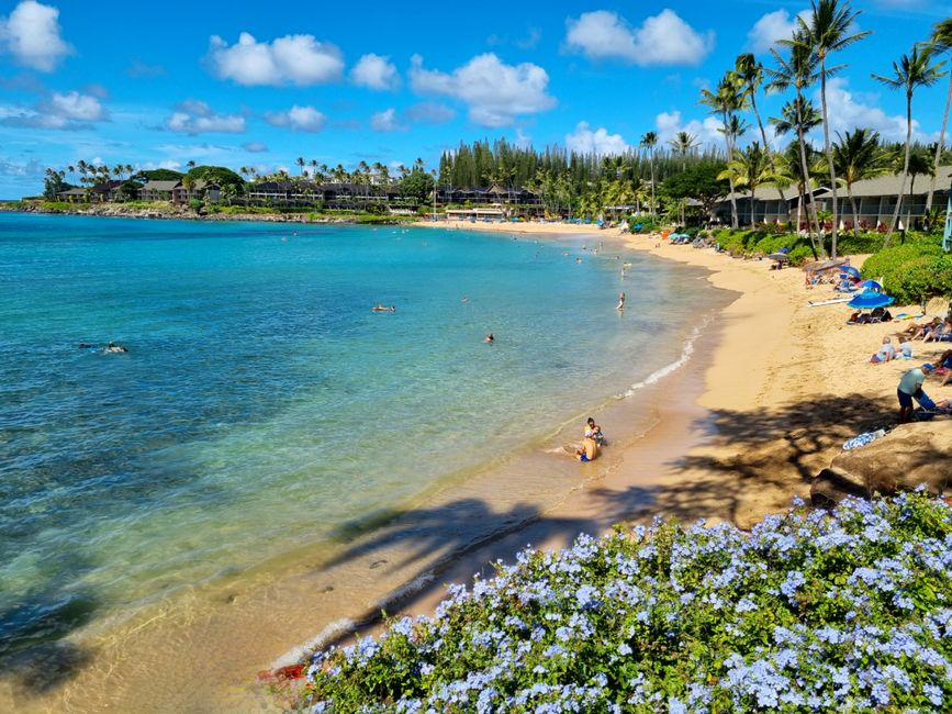 Hawaii 2022 - Part 3: Maui