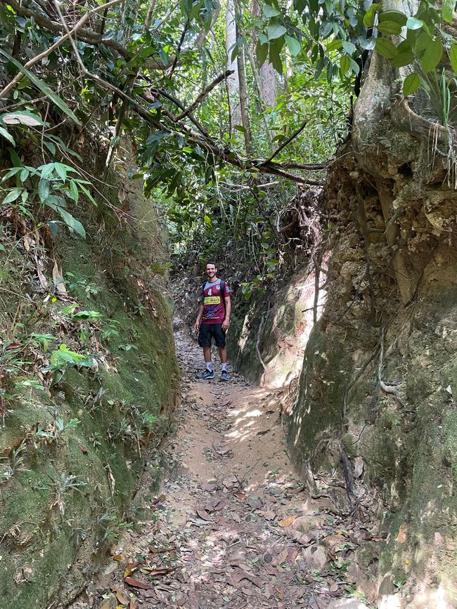 Wanderung durch den Regenwald