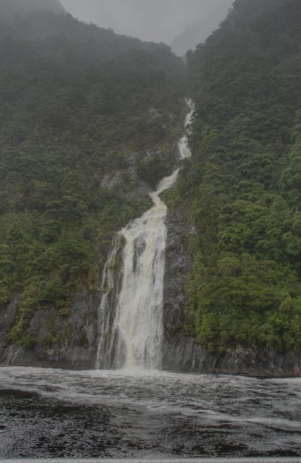 The Sounds in Fiordland