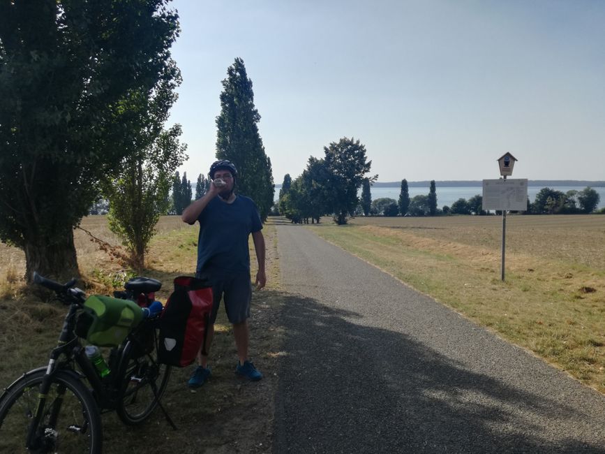 D'abord se débarrasser des mouches
