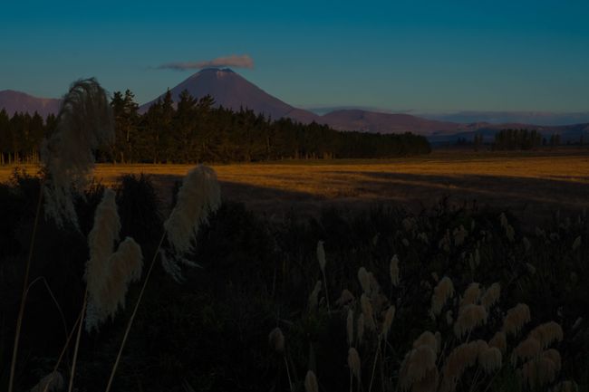 Mount Ngauruhoe (2291 m), ein aktiver Vulkan im Tongariro Nationlpark auf der Nordinsel Neuseelands. Der letzte Ausbruch liegt jedoch über 40 Jahre zurück. 