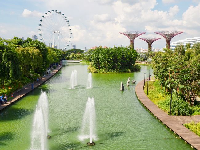 Singapore Flyer (Riesenrad) & Gardens by the Bay