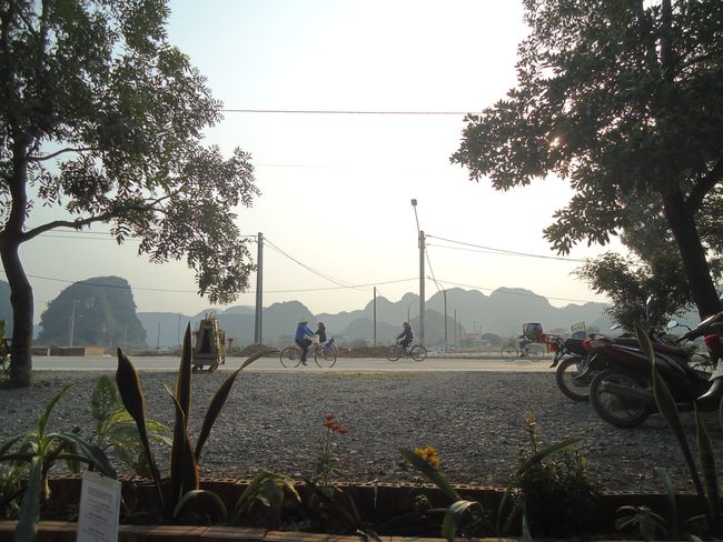 Ninh Binh - Cycling Tour through the Rice Fields