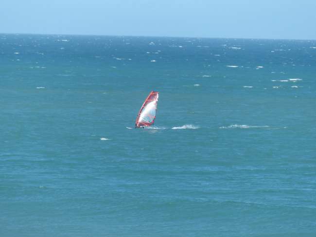 Oh, a windsurfer. Near Gisborne