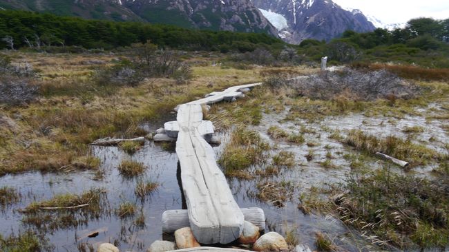 Parque Nacional Los Glaciares: okutambulatambula okunyiiga n’okuzaala omuzira