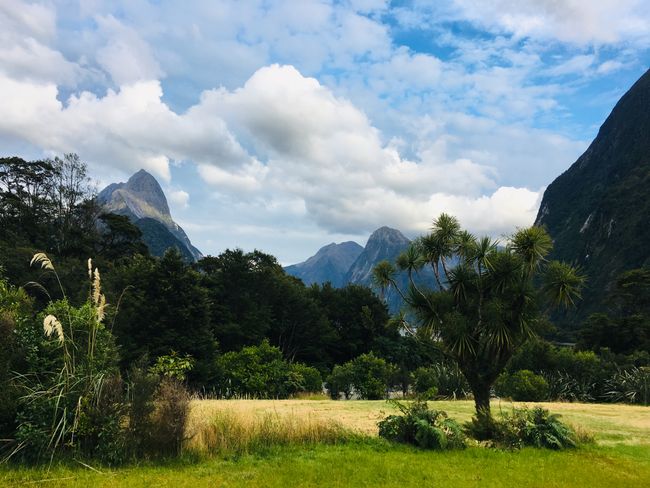 11&12|02|19, Milford Sound, the eighth wonder of the world?