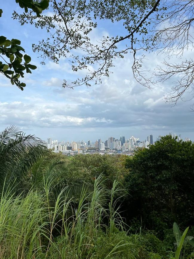 Der Aussicht aus dem Metropolitano Park