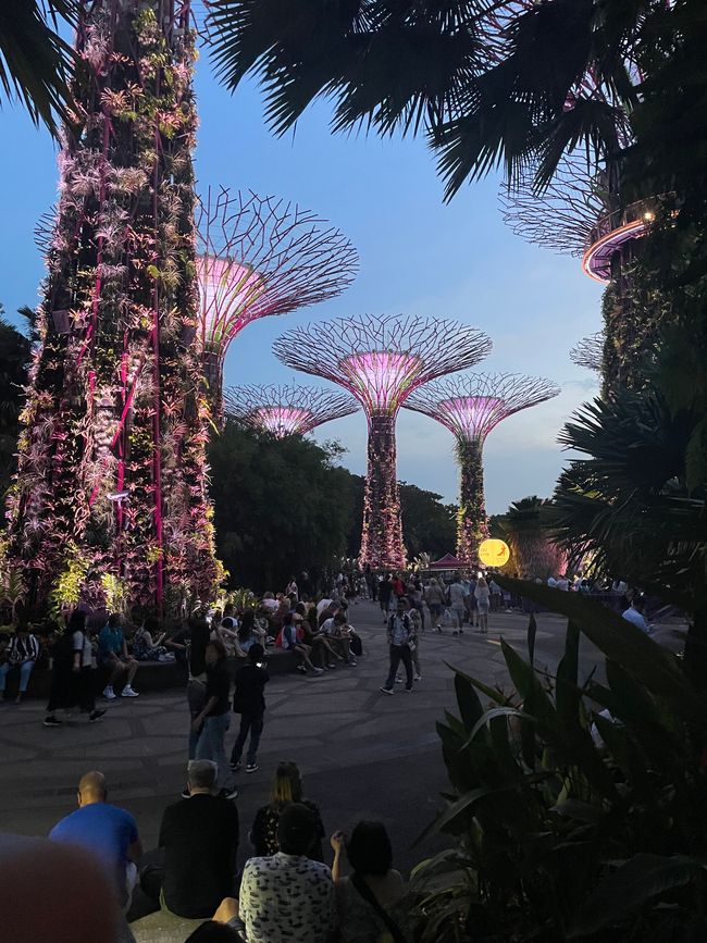 Erster Abend und zweiter Tag Singapur
