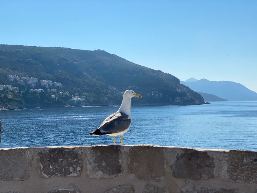Dubrovnik Parte 2